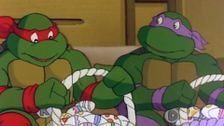 S5 E1: The Turtles and the Hare
