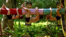 S5 E21: Australian Survivor