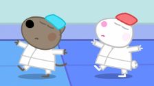 S11 E21: Martial Arts