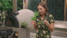S6 E16: My Market Kitchen