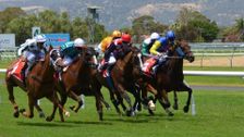 Australasian Racing Year