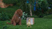 S2 E33: Follow That Box
