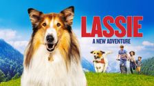 Lassie - A New Adventure