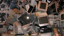 Y2K: The Bug That Didn't Bite