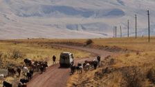 S3 E5: On Tanzania's Dusty Roads