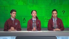 S18 E22: It's Academic