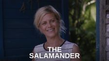 The Salamander