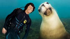 S1 E5: Andy and the Galapagos Sea Lions