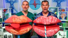 S14 E11: Getting Lippy!