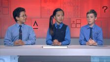 S18 E39: It's Academic
