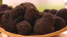 S2 E30: Truffles