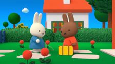 S1 E64: Miffy Misses Melanie