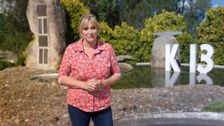 S32 E19: Better Homes and Gardens