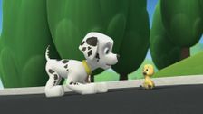 Pup Pup Goose