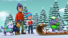 S4 E9: Pups Save a Sleepwalking Bear; Pups Save Dude Ranch Danny