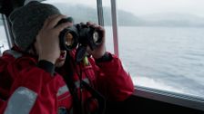 S2 E4: Clam Digger Calamity