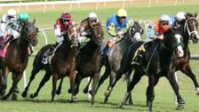 Racenight Live