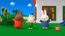 S1 E37: Mini Miffy