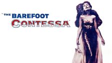 The Barefoot Contessa