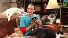 S4 E3: The Zazzy Substitution