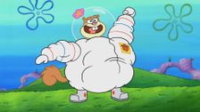 S11 E25: Squirrel Jelly; The String