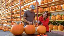 S2 E10: Pumpkins in Illinois
