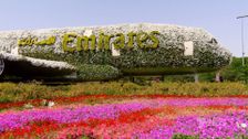 S24 E21: Better Homes and Gardens