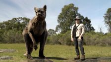 S1 E1: Megafauna: What Killed Australia's Giants?