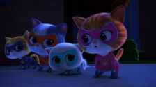 S1 E10: Toy-Tastrophe