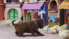 S1 E24: Baby Chick Sitting