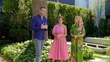 S7 E31: House of Wellness