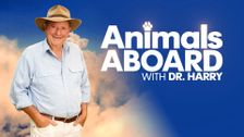 Animals Aboard With Dr. Harry