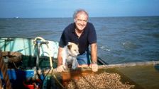 S1 E7: Thailand and Cornwall