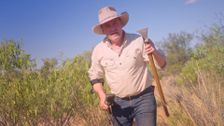 S1 E1: Desert Discovery