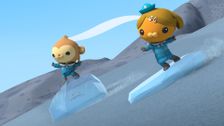 S1 E4: The Octonauts and the Siberian Salamander