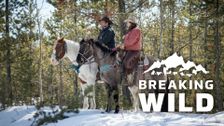 Breaking Wild