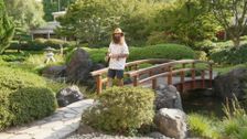 S37 E9: Autumn: Tastes of Fiji & Pitcher Plants