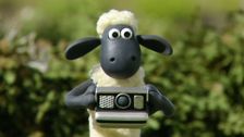 S1 E15: Shaun Shoots the Sheep