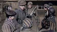 S1 E2: Auschwitz: Countdown to Liberation