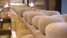 S5 E7: The New Cheese Pioneers: Tasmania