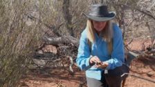 S4 E5: Aussie Gold Hunters