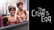 The Crow's Egg