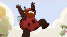 A Bug's Strife