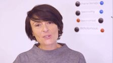 S1 E4: Years 7-8: Classification and Constructing Dichotomous Keys