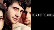 The Sex of Angels
