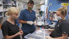 S15 E3: The Yorkshire Vet