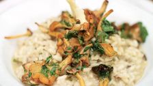 S1 E9: Mushrooms