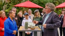 S45 E2: Sefton Park Palm House 1