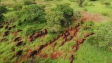 South Africa from Above