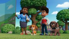 S12 E5: Search and Rescue: Pups Save a Snack-Snatcher